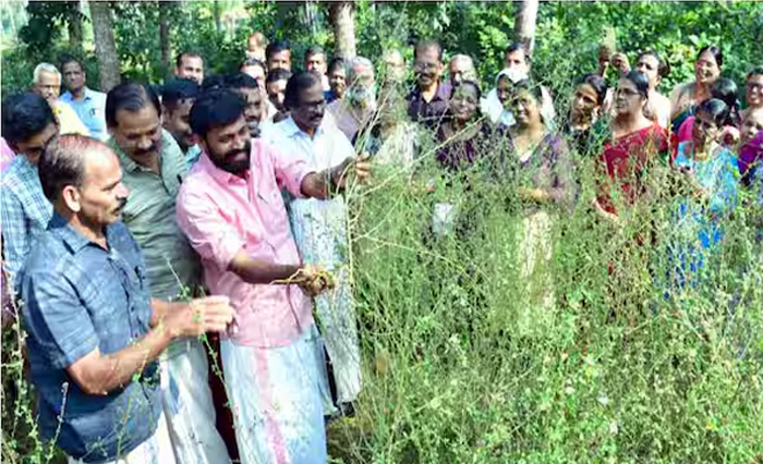 100 Acres of Kurundotti : Herbal Village Project